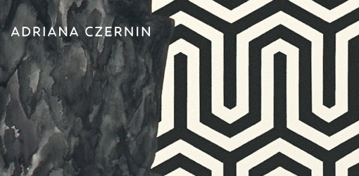 Martin Janda (Hg.), Adriana Czernin, Mit Texten von Martin Prinzhorn und Catharina Kahane, Berlin 2013.