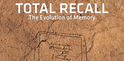 Ars Electronica Festival 2013, credit: Nicolas Naveau.