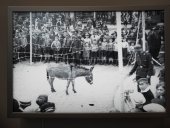 Sanja Iveković, The Disobedient (The Revolutionaries) (2012), Fotografie aus der Installation, Foto: Alexandra Matzner