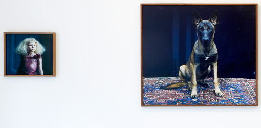 Installationsansicht „Hellen van Meene. Portraits“ in der Galerie OstLicht, 13.4.-9.6.2013, Wien, Fotos: Michael Kollmann / Galerie OstLicht