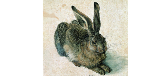 Albrecht D??rer, Feldhase, 1502 © Albertina, Wien.