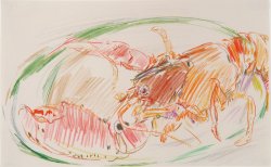 Oskar Kokoschka, Hummer auf einem Teller, 1945, Farbstifte (Wienerroither & Kohlbacher, Wien) © Foto: mit freundlicher Genehmigung von Wienerroither & Kohlbacher, Wien.