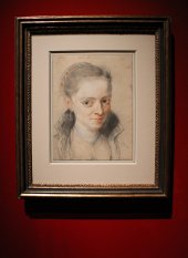 Peter Paul Rubens, Susanna Fourment, um 1620, Kreide, Installationsansicht in der Albertina, Foto: Alexandra Matzner